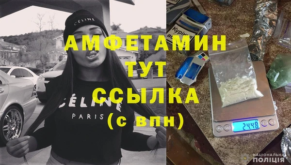 шишки Верхний Тагил