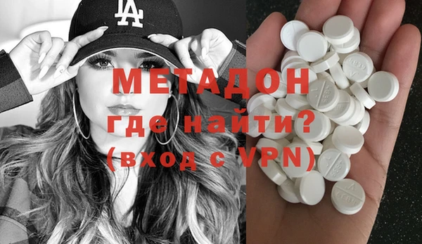 прущие грибы Верея