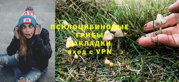 мет Горняк
